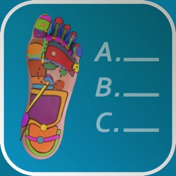 Reflexology Quiz - zones