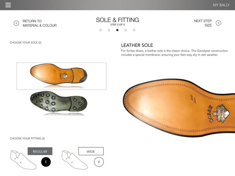 BALLY screenshot-3