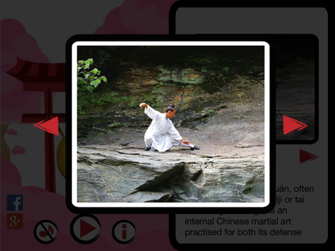 The Best Martial Arts iPad screenshot