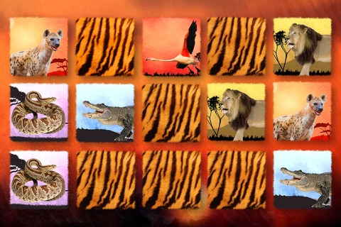 Wildlife Safari Photo Memo Puzzle Free screenshot 3