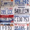 Hunt for license plates for all the states in the USA