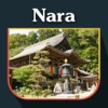 Nara City Travel Guide