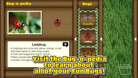 Fun Bugs - Education App | MWM