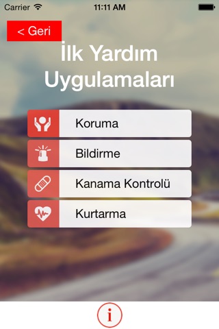 Trafik Hayattır! screenshot 3