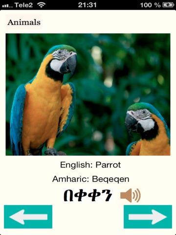 Animals in Amharic Audio screenshot 2