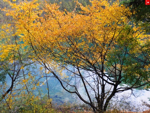 The Miracle of Geology: Jiuzhaigou-Huanglong screenshot 4