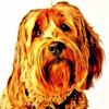 Cartoon Caricatures - Turn your Photos into Realistic Toon Characters - Bill Core