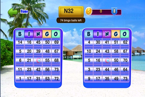 Bingo Beach Game screenshot 3