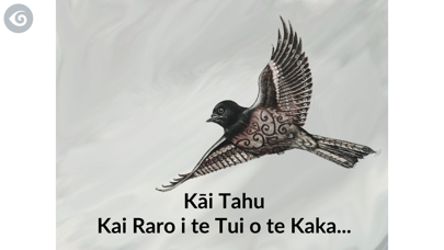 Screenshot #1 pour Kāi Tahu - A Little Bird Told Me...