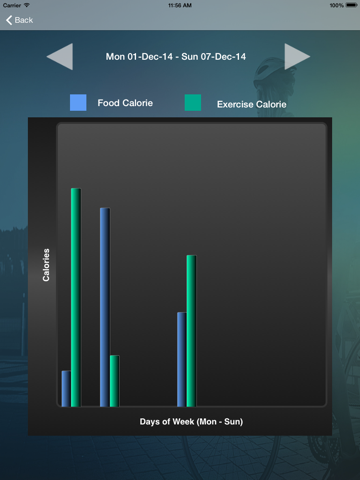 Calories Burned And Intake iPad screenshot