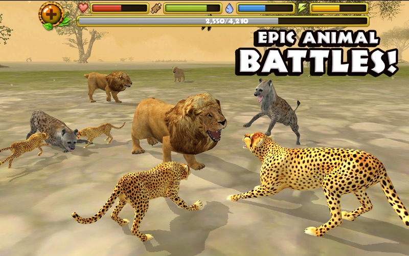 Cheetah Simulator screenshot 5