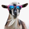 CoolGoat - for Voat