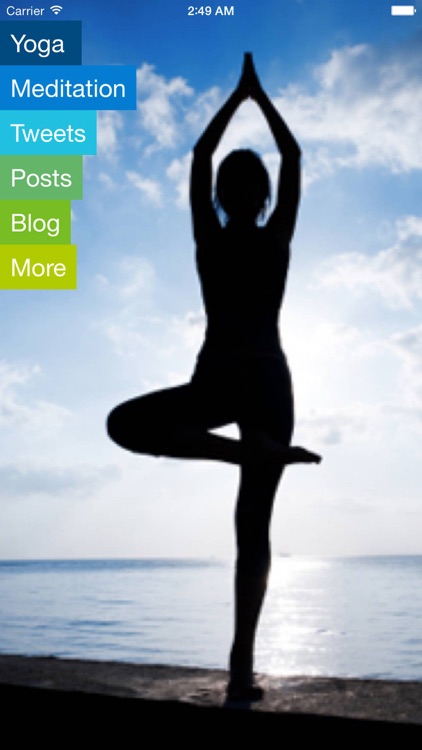 Vinyasa Flow Yoga-Intermediate and Advanced AppVideo-Maral Hadidi