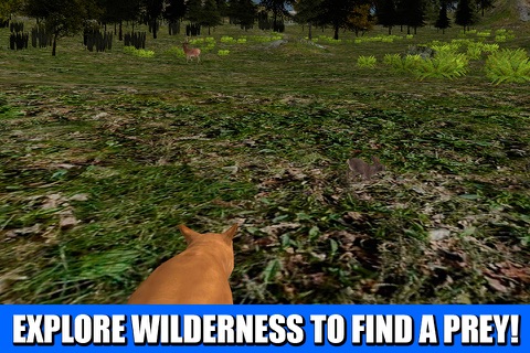 Wildlife Survival 3D: Puma Cat screenshot 4