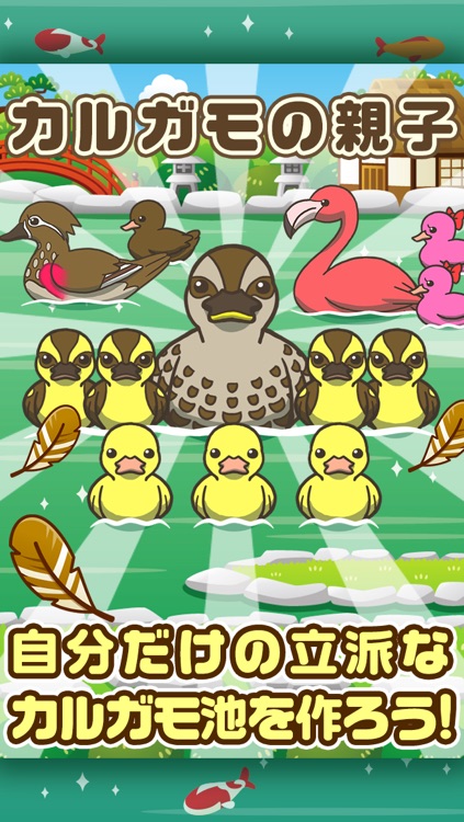 カルガモの親子~鴨を育てる楽しい育成ゲーム~