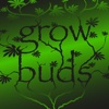 Growbuds