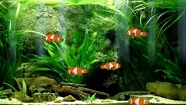 Game screenshot Aquarium Now mod apk