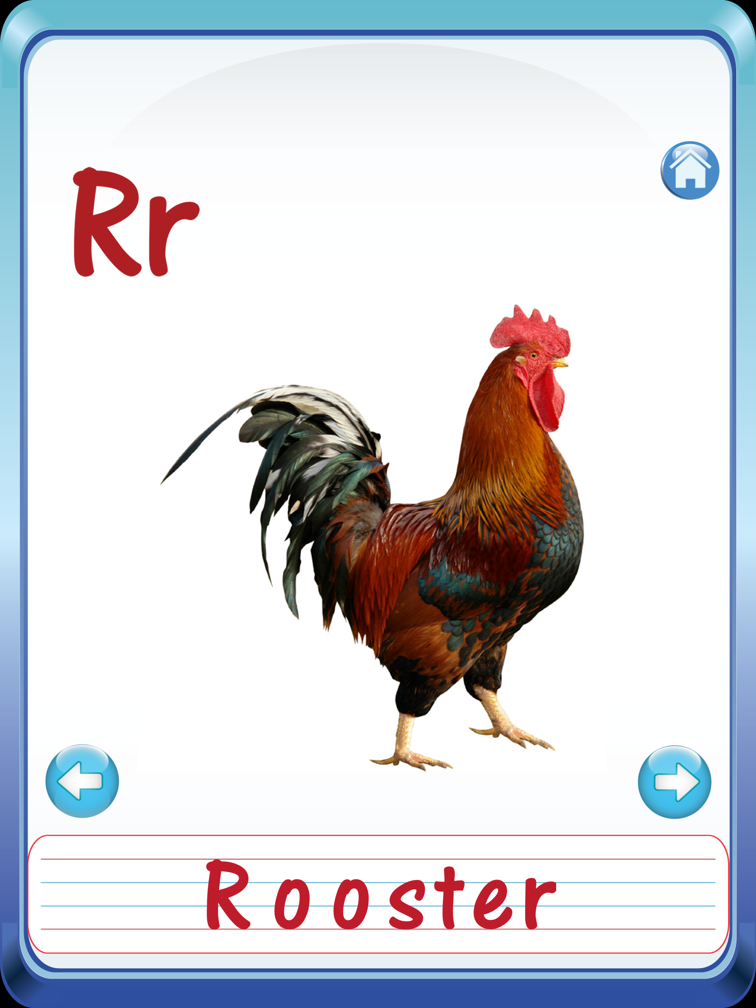 Kids safari jungle wild animals zoo & birds flashcards for preschool kindergarten baby screenshot 8