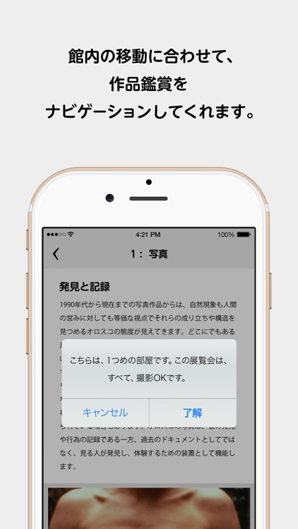 東京都現代美術館 MOTガイド ー ガブリエル・オロスコ展 ー