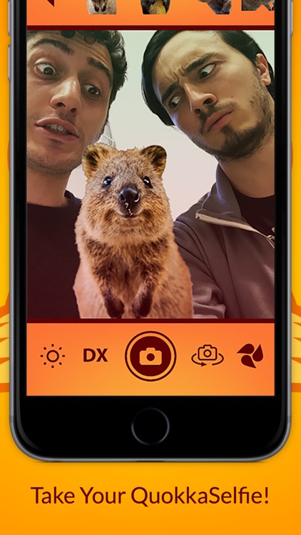 QuokkaSelfie: take photos with the happiest animal in the world!