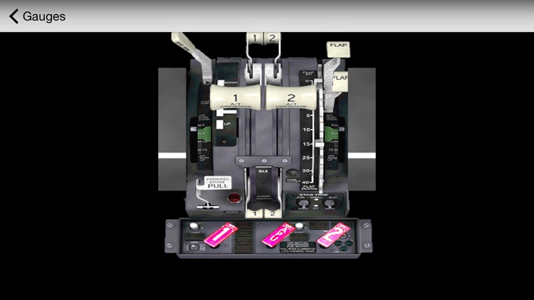 B737 Interactive Cockpit for FSX