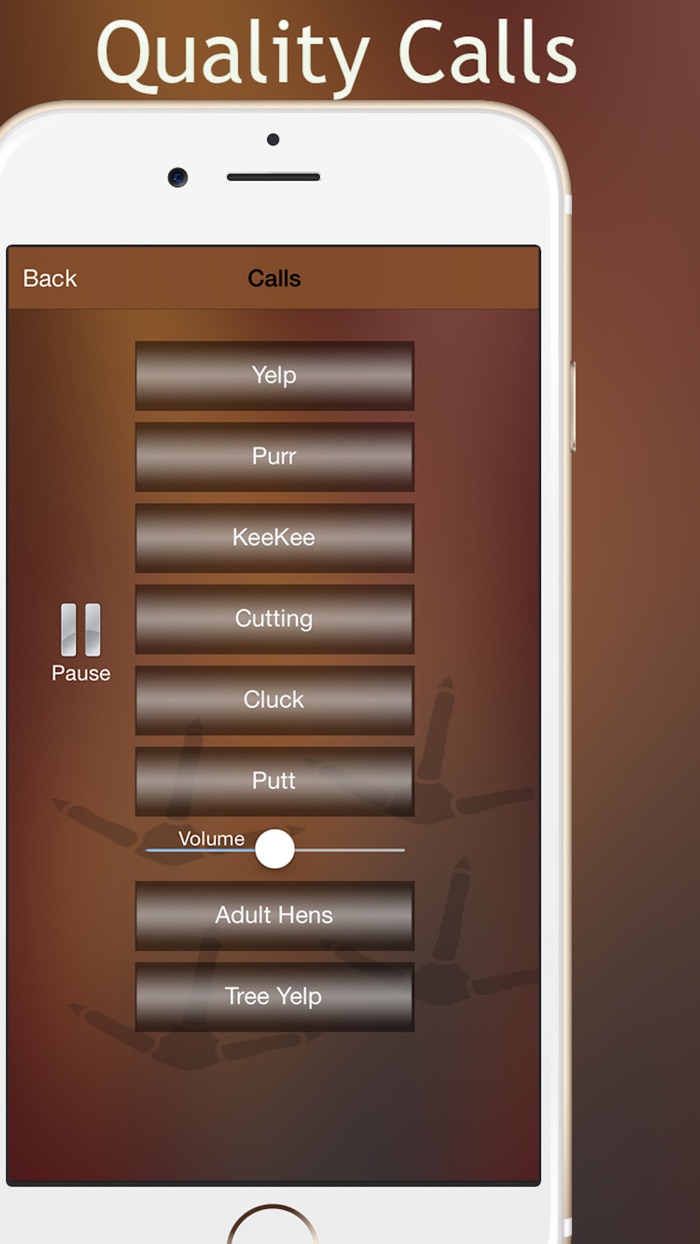 Turkey Hunting Tools and Pro Calling