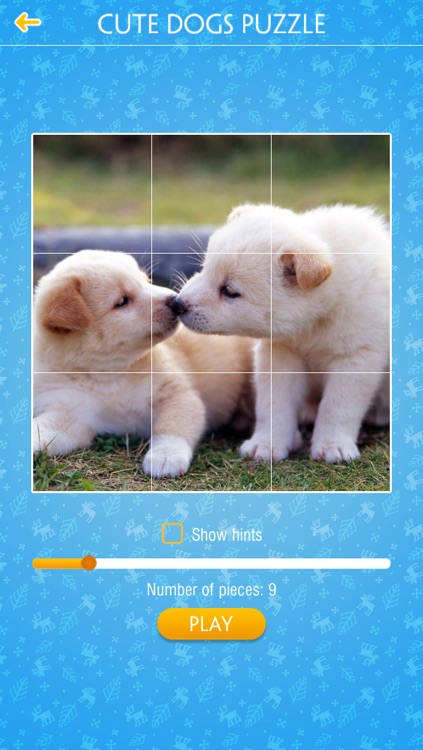Cute Dogs Jigsaw Puzzles screenshot-4