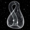 Klein Bottle