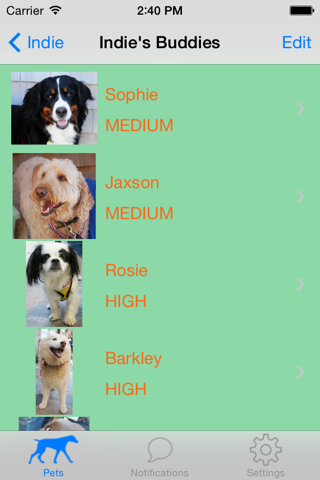 Barkster screenshot 4