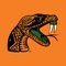This App is the official game day program for FAMU Athletics