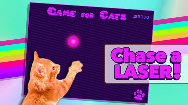 Game for Cats