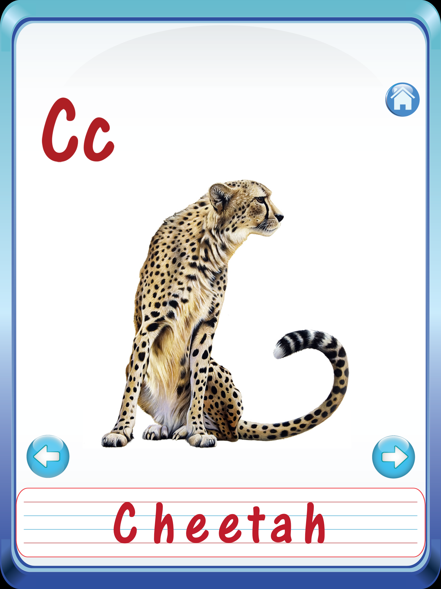 Kids safari jungle wild animals zoo & birds flashcards for preschool kindergarten baby screenshot 9
