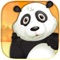 Panda Dash Adventure