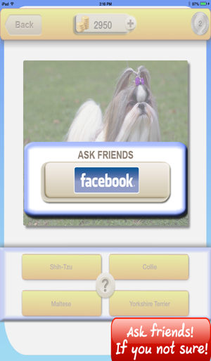 555 Dog Breed Quiz - Guessing your puppy family(圖4)-速報App