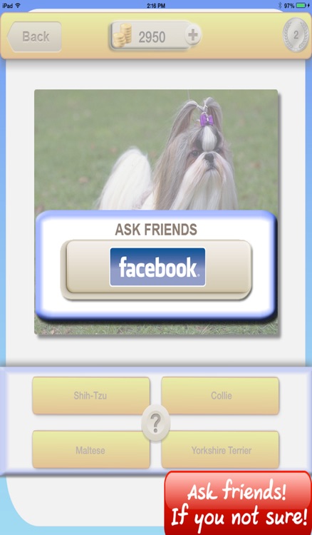 555 Dog Breed Quiz - Guessing your puppy family screenshot-3