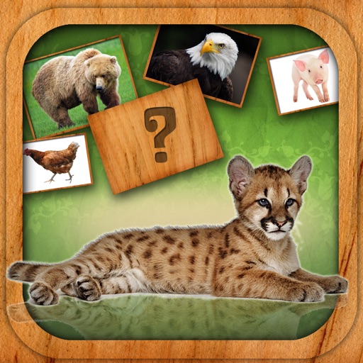 Animals Match Card Game Icon