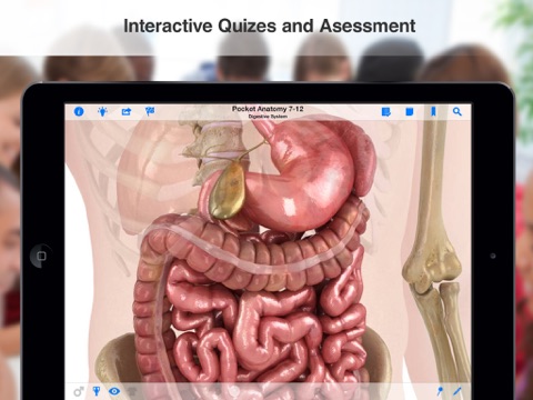 High School Anatomy iPad screenshot 5 - Education app