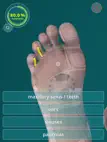 Reflexology Quiz - zones ipad bilder 0