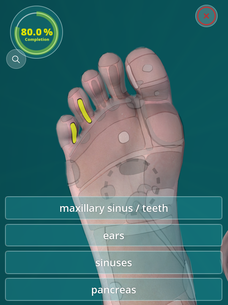 Reflexology Quiz - zones