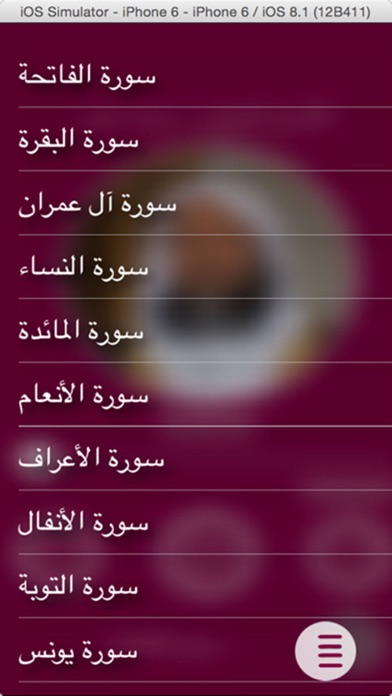 Screenshot #2 pour القارئ د. محمد ايوب - بدون انترنت