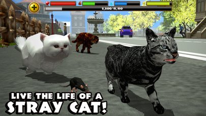 Stray Cat Simulator screenshot 1