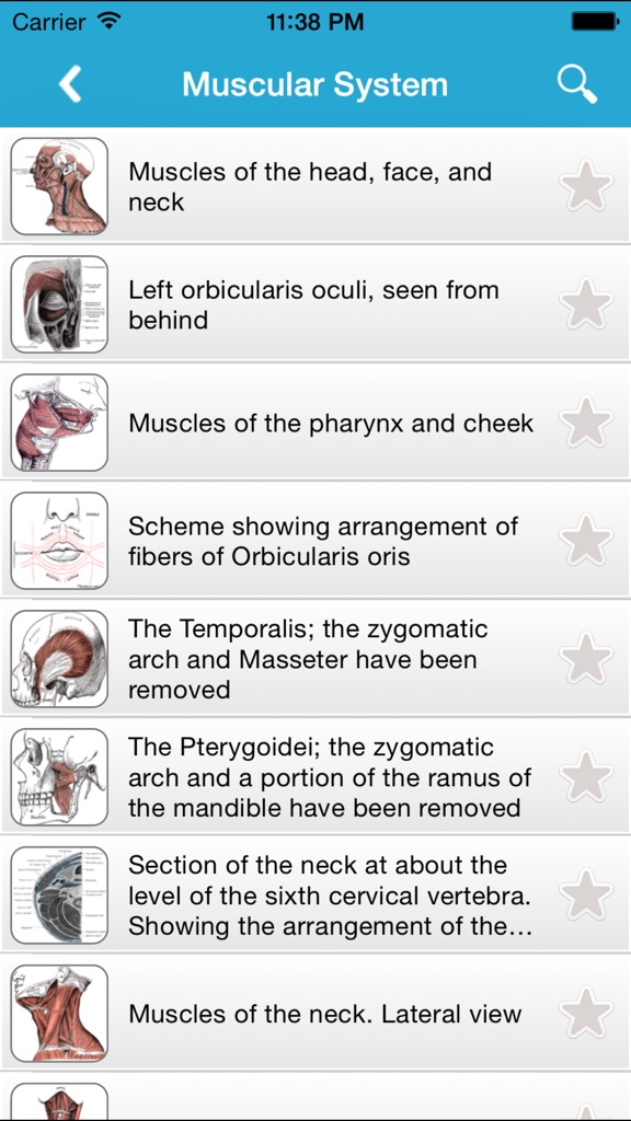 【图】Gray’s Anatomy Pro 2014(截图3)