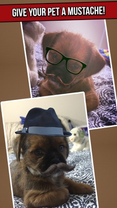 The Amazing Mustache Booth - A Funny Photo Editor with Hipster Stache, Manly Beards, and Cool Hairs screenshot 2