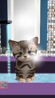 cute kitten virtual pet, your own kitty to take care iphone screenshot 3