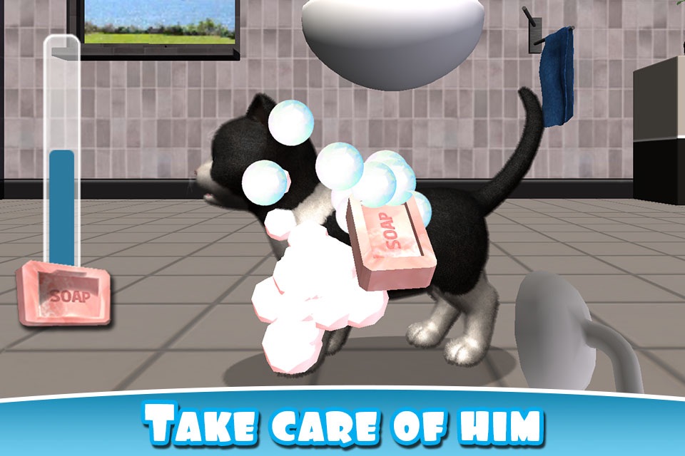 Daily Kitten : virtual cat pet screenshot 2
