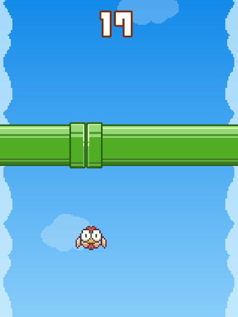 Chick Can Fly
