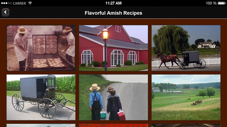 Amish Recipes screenshot-3