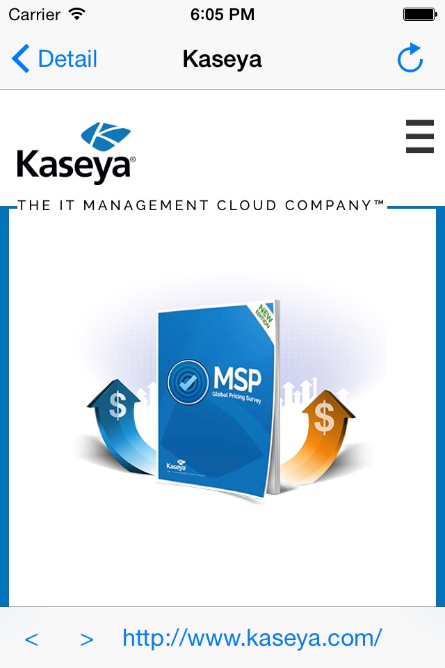 Kaseya WorkBrowser screenshot 3