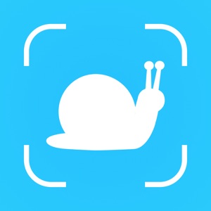 Flow - Slow Motion Camera download