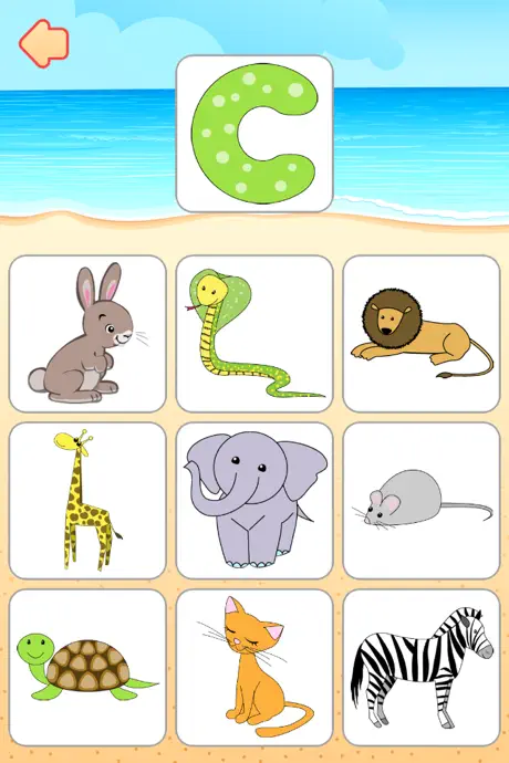 Kids University (Preschool)